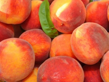 Испания основной поставщик плодоовощной продукции в ЕС