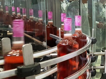 Экспорт товаров из Валенсии в Индию вырос на 59%