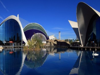 Океанографический парк и биопарк Валенсии  празднуют свои юбилеи. 