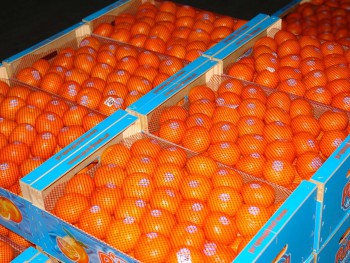 Объём экспорта Валенсийского сообщества вырос на 15% за первые четыре месяца 2021 года