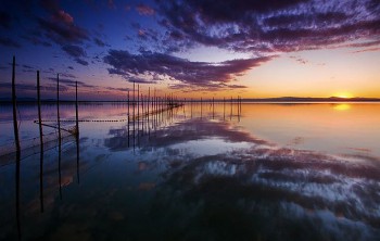 Знаменитые рисовые поля Валенсии откроются глазам туристов