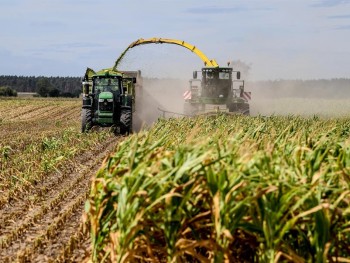 Испанию стала вторым главным получателем зерна с Украины, перевозимого через Черное море