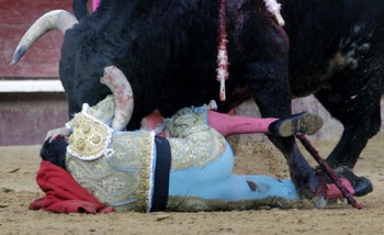 При проведении корриды в Валенсии ранен матадор
