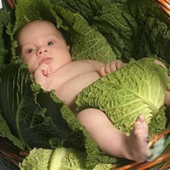 Рождаемость в Валенсии ниже, чем в среднем по Испании и в Европе 