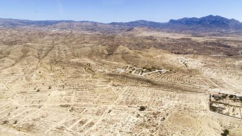 Засуха приведёт к снижению урожая цитрусовых  в Валенсии 