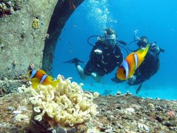 У побережья Валенсии создадут искусственный риф