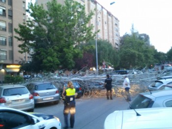 Упавшее дерево повредило три легковых автомобиля в Валенсии