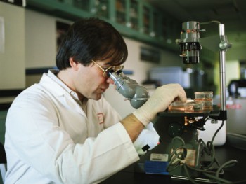 Семь валенсийских учёных попали в рейтинг самых известных научных светил мира