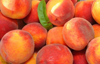 Испанские аграрии теснят Францию с фруктового рынка Европы