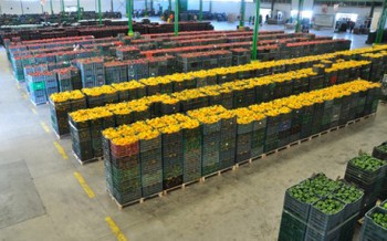 Экспорт Валенсии имеет лучшие показатели в Испании