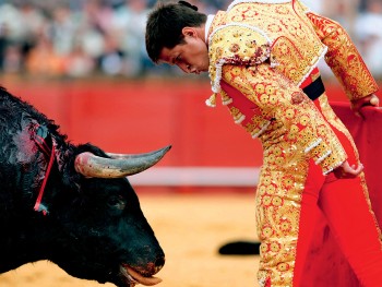 Коррида является выгодным бизнесом в Испании 