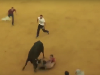 Бык оставил без трусов любителя корриды