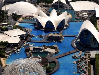 Валенсийский Oceanografic  - в числе пяти лучших аквариумов в мире