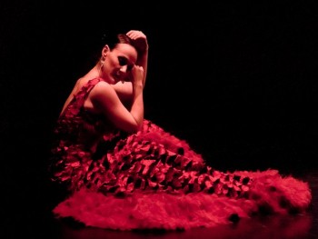 Жители Санкт-Петербурга познакомятся с мировыми звёздами фламенко