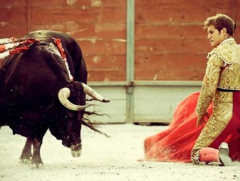 Протестуешь против корриды – заплати немалый штраф