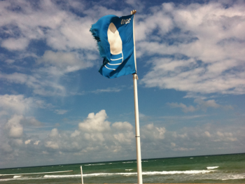 Самые качественные пляжи Испании находятся в Валенсии