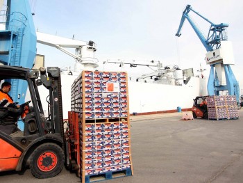 Валенсия занимает второе место в стране по величине экспорта